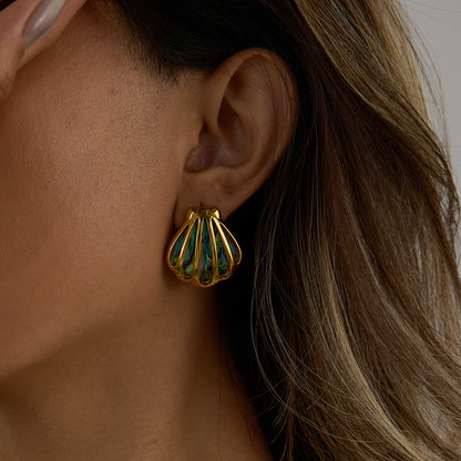 Aqua Shell Earrings